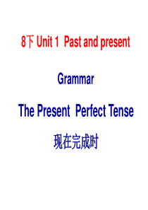 (牛津译林版)八年级英语下册课件：U1-Grammar