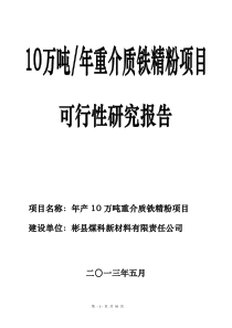 10万吨年重介质铁精粉项目可行性研究报告