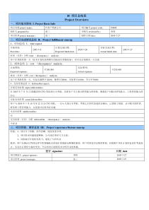 10项目总结表