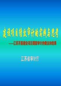 1108b建设项目绩效审计的实践与思考-朱尧平