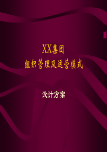 XX集团组织管理及运营模式方案