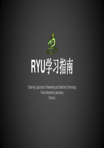 RYU学习指南