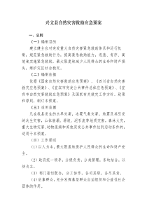 兴文县自然灾害救助应急预案