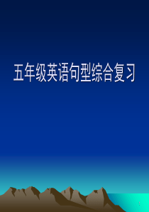 小学五年级英语句型综合训练(课堂PPT)