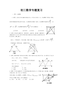 初三数学专题复习