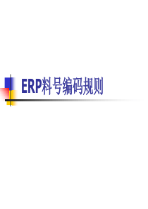 ERP_料号编码规则（PPT32页)