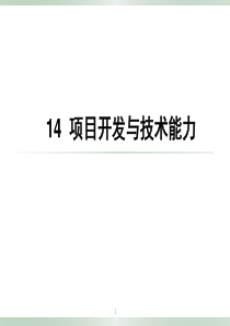 14项目开发与技术能力