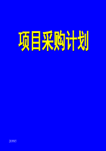 15-项目采购计划1