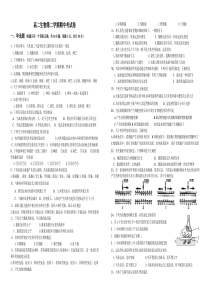 高二生物第二学期期中考试卷