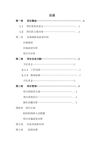 项目立项报告--范例