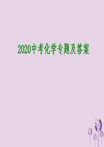 2020中考化学专题及答案