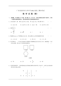 广东省高州市大井中学2011届高三期末考试（数学理）