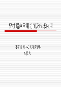 脊柱超声常用切面