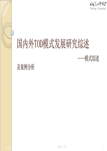 国内外TOD模式研究综述及案例分析