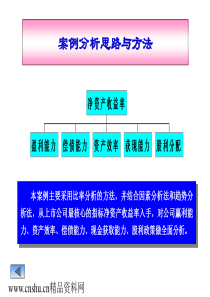 案例分析思路与方法（PPT 47）--资产效率分析