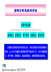 案例分析思路与方法（PPT47）--资产效率分析