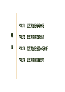 武汉市黄陂区市场调研报告