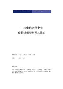 中国电信运营企业理想组织架构的演进（推荐PDF152）