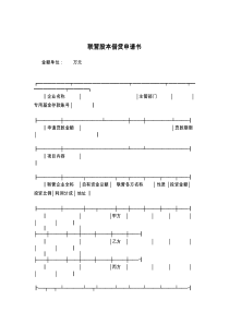 联营股本借贷申请书