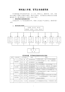 坍塌、冒顶应急预案