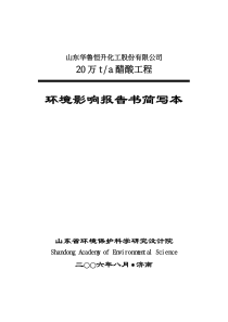 20万吨醋酸项目环境影响报告书