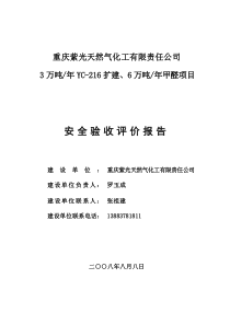 216扩建、6万吨年甲醛项目安全验收评价报告