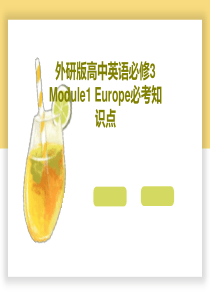 外研版高中英语必修3-Module1-Europe必考知识点共55页文档