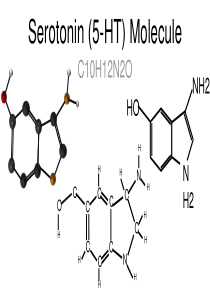 5-羟色胺分子PPT模板
