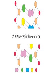 DNA PPT模板