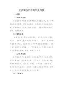 天师镇防汛抗旱应急预案