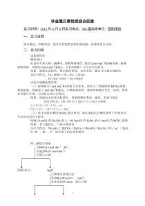 非金属元素性质综合实验