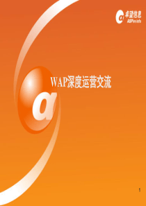 中移动WAP深度运营交流