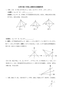 北师大版八年级数学上册期末压轴题系列专题练习(有答案)