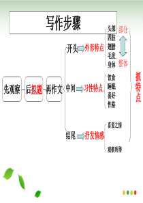 作文《菊花》-ppt课件(完美版)