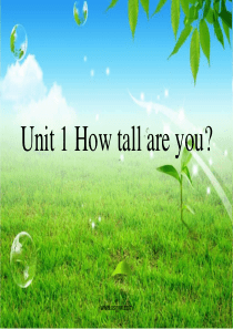 how-tall-are-you教学课件