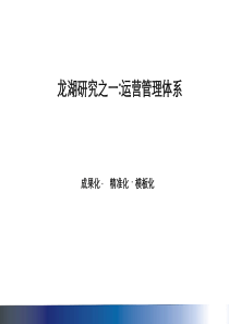 习资料龙湖地产运营管理体系研究