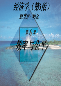 经济学(第5版)_迈克尔·帕金著_梁小民译_第6章_效率与公平