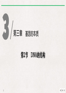 《DNA的结构》基因的本质PPT