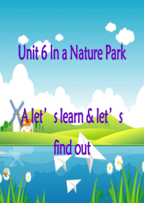 《In a nature park》PPT课件6