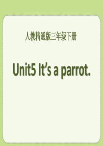 《Its a parrot》PPT课件8