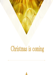 《Christmas is coming》PPT课件