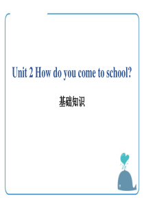 《How do you come to school》基础知识PPT