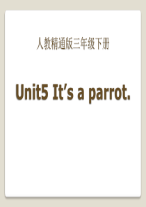 《Its a parrot》PPT课件7