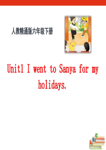 《I went to Sanya for my holidays》PPT课件68