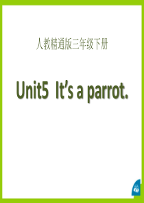 《Its a parrot》PPT课件