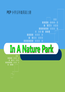 《In a nature park》PPT课件7