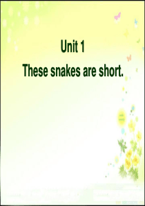 《These snakes are short》PPT课件6