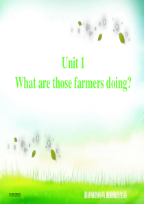 《What are those farmers doing》PPT