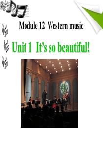 《Its so beautiful》Western music PPT课件9