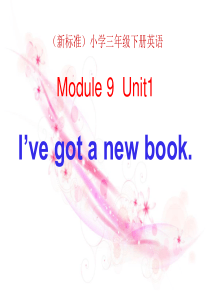 《Ive got a new book》PPT课件5